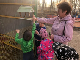 Международный день птиц. Международный день птиц.