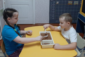 Игры с природным материалом Игры с природным материалом.