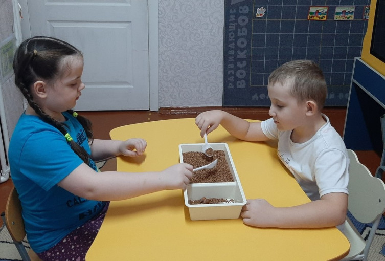 Игры с природным материалом Игры с природным материалом.